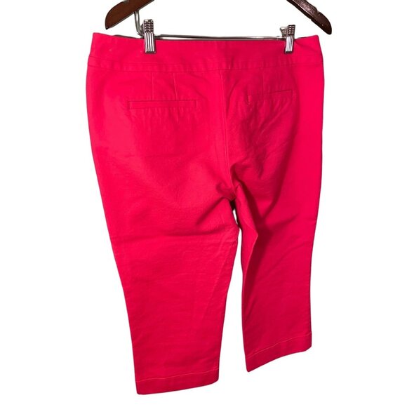 Ann Taylor Womens Signature Petite Pink Capri Pants 12P Cotton Blend Stretch - Picture 2 of 7